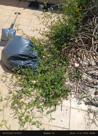 Cleaning • Car Wash • Environment • Painting