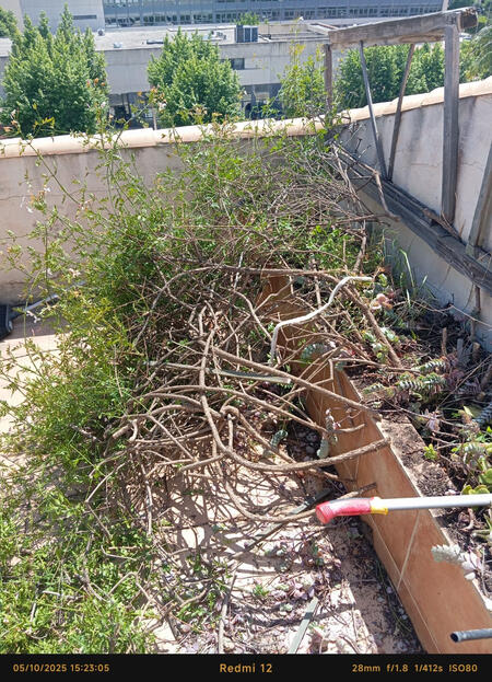 Cleaning • Car Wash • Environment • Painting