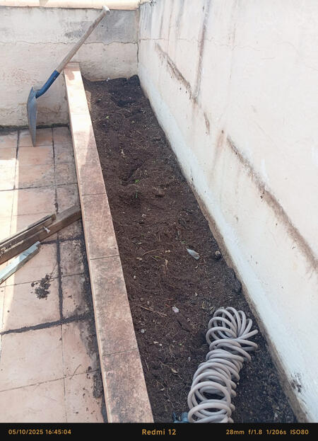 Cleaning • Car Wash • Environment • Painting